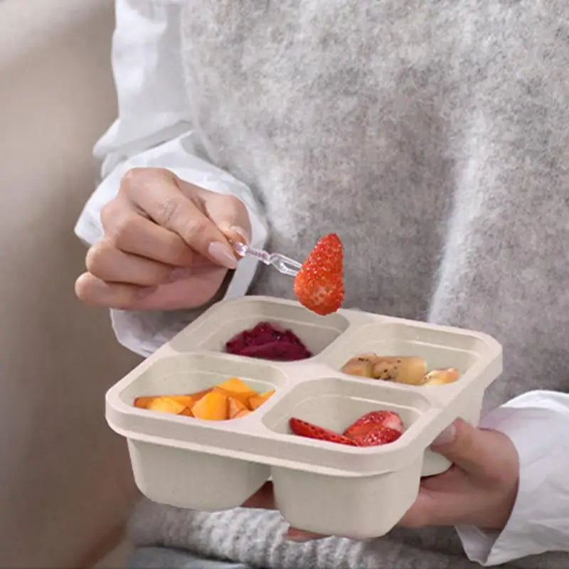 Bento Snack Boxes | Meal Prep Container 4-Section | With Lid 4-Compartment Lunchable Container Reusable For Desserts Nuts